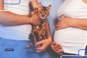 Toxoplasmose Ocular: sintomas, diagnóstico e tratamento
