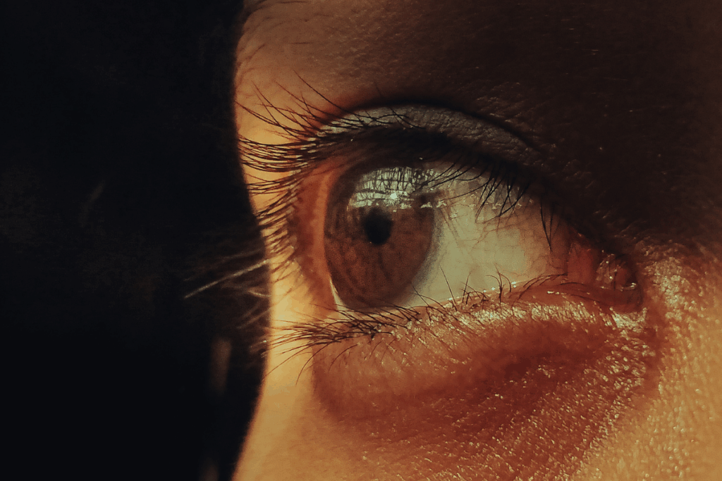 retinografia