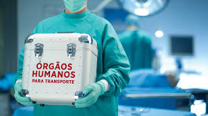 Caixa onde contém os órgaos humanos a serem transplantados